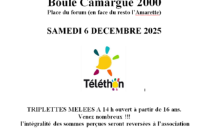 Telethon 2025