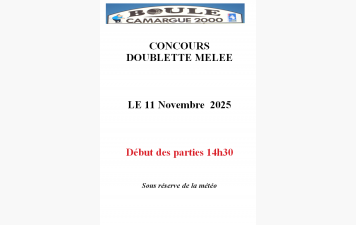 le 11 novembre